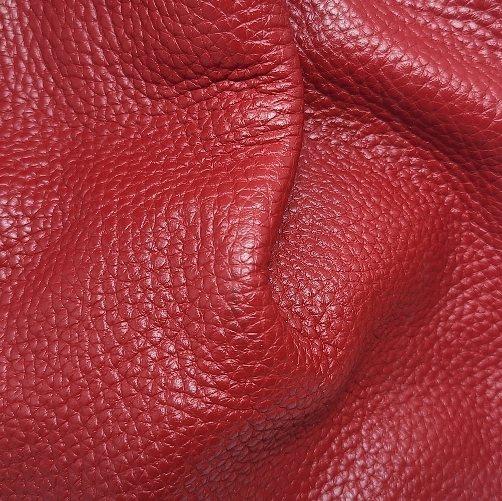 Dooney & Bourke | Women's Vintage Red Pebble Grain Brenna Bag (One Size) - Picture 12 of 16